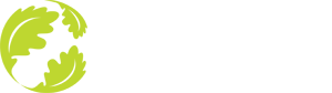 Organisation's logo linking to the home page