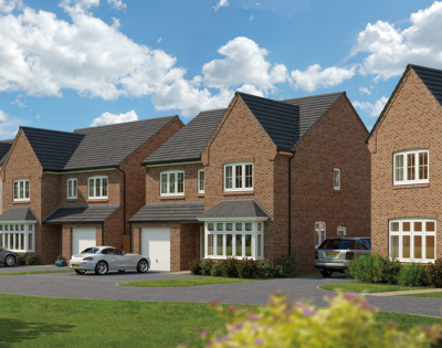 Image 2025 06 03 093815875